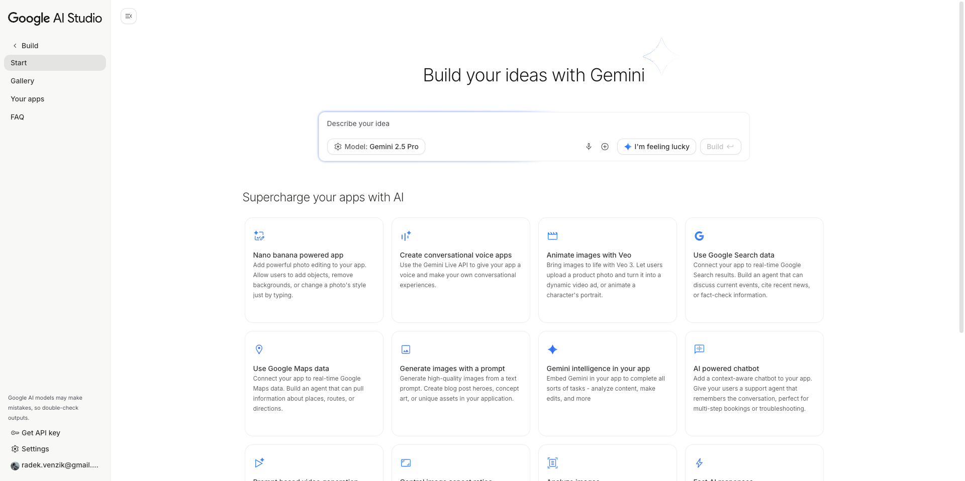 Google AI Studio Screenshot 1